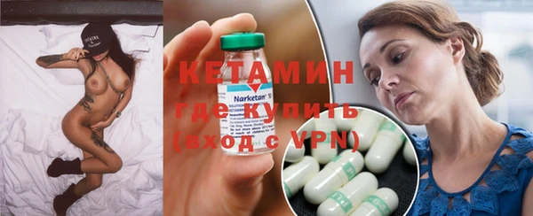индика Новозыбков