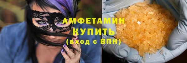 индика Новозыбков