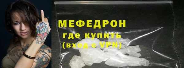 индика Новозыбков