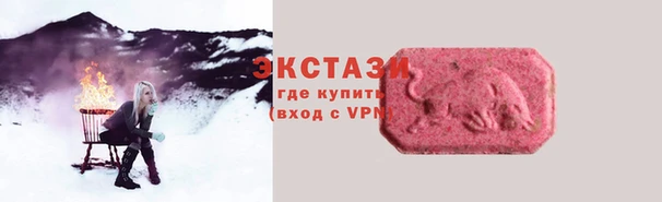 СК Новодвинск