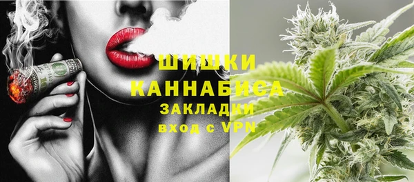 индика Новозыбков