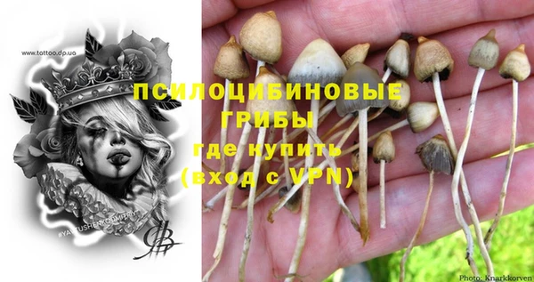 соль курить ск Няндома