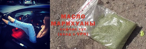 индика Новозыбков
