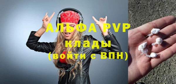 СК Новодвинск