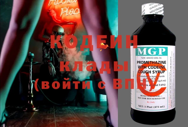 индика Новозыбков