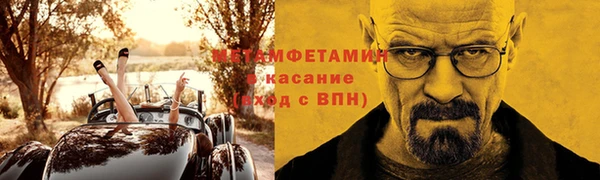 индика Новозыбков