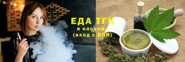 индика Новозыбков