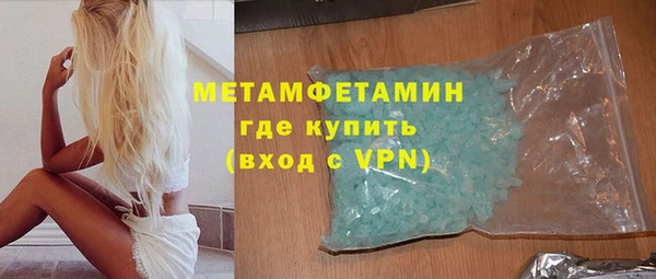 индика Новозыбков