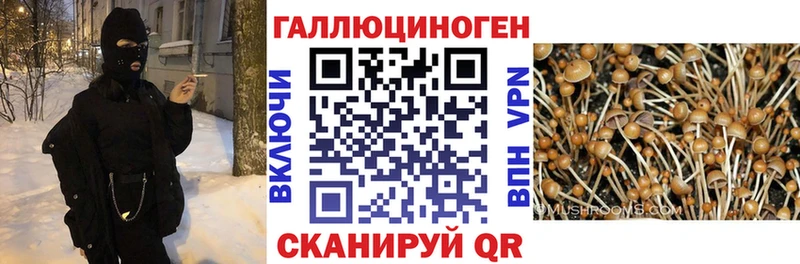 Галлюциногенные грибы GOLDEN TEACHER  как найти закладки  МЕГА зеркало  Лиски 