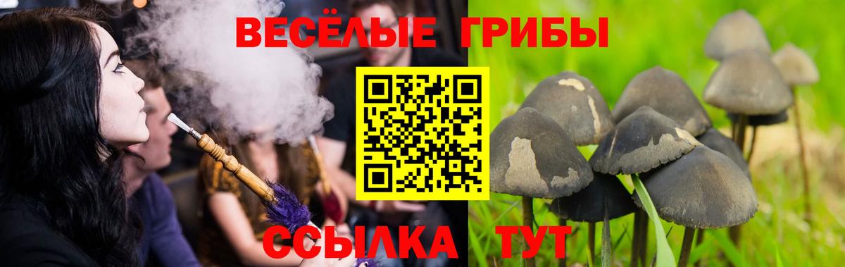 Лиски  Псилоцибиновые грибы Psilocybe  Вход с VPN 